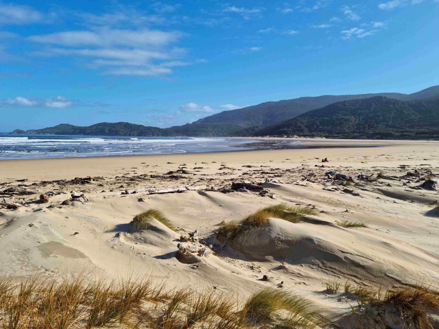 Stewart Island Day Trip from Fiordland