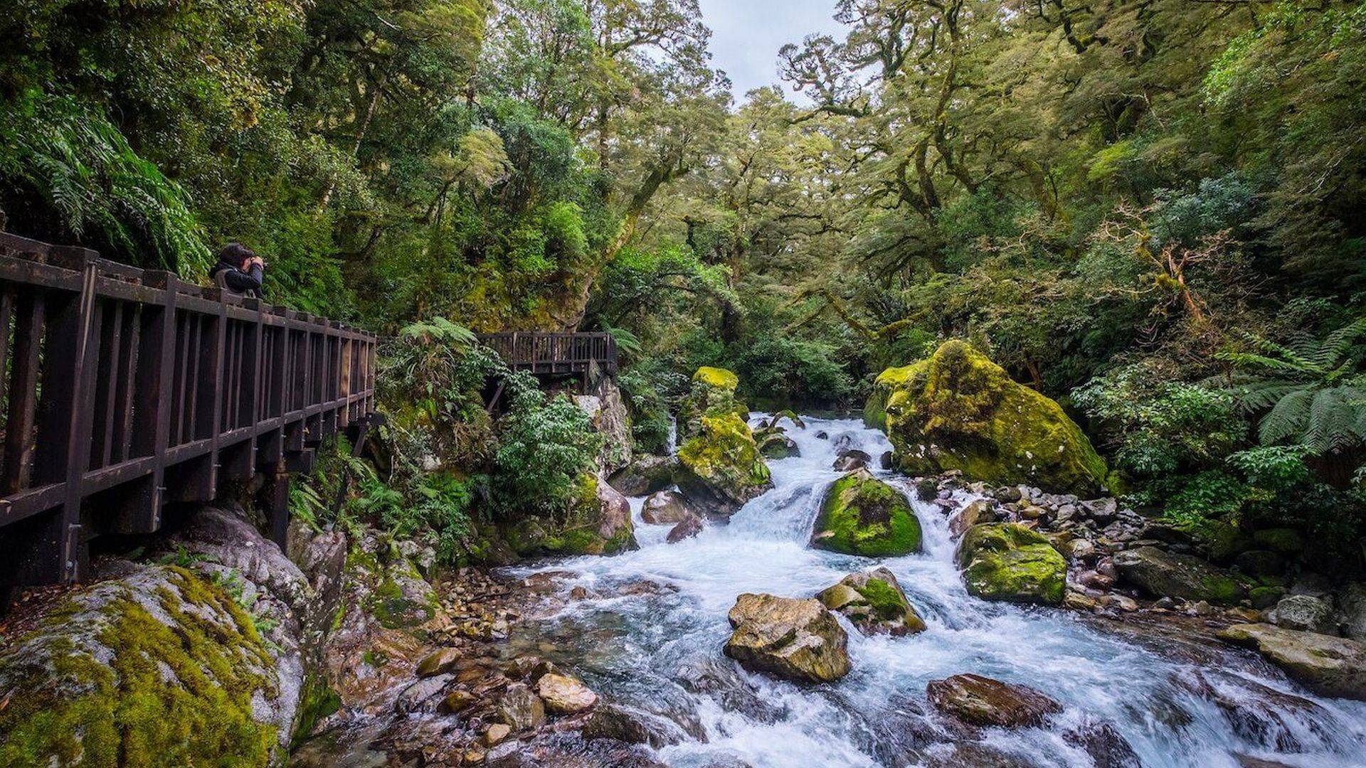 Hiking | Cabot Lodge