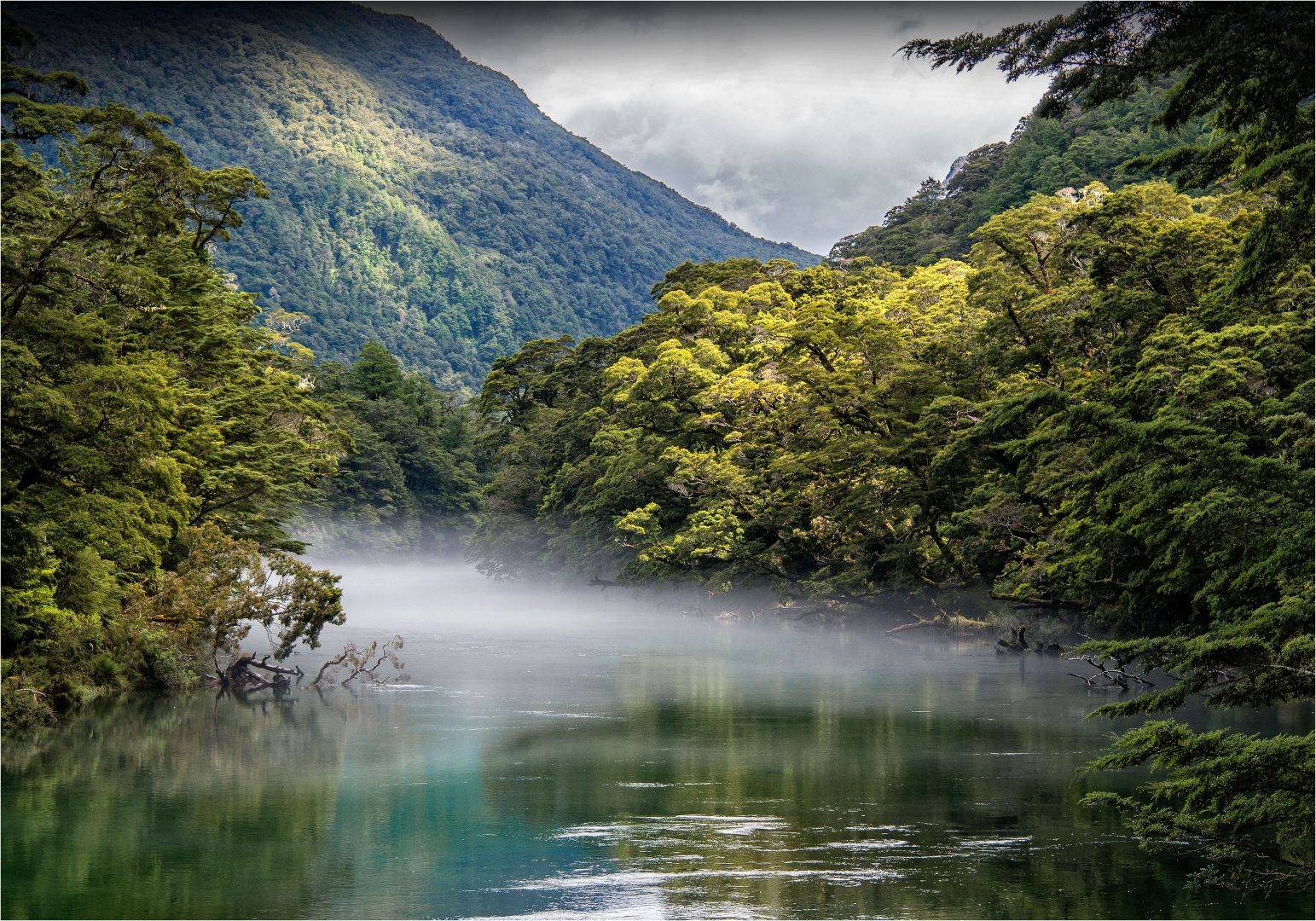 Milford Road - the best spots to explore