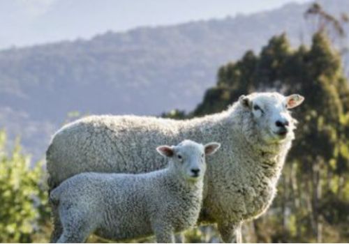 Spring is on its way