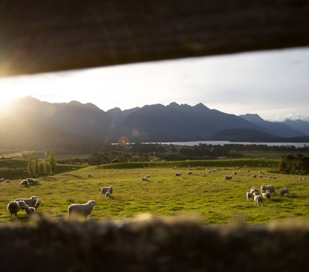 Cabot Lodge | Luxury Hotel Fiordland | Luxury Hotel Te Anau | Best accommodation near Milford Sound