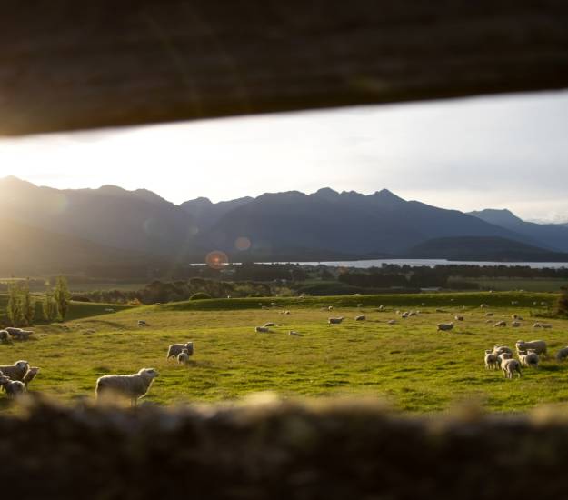 View from Cabot Lodge Balcony at Sunset | The Farm | Cabot Lodge
