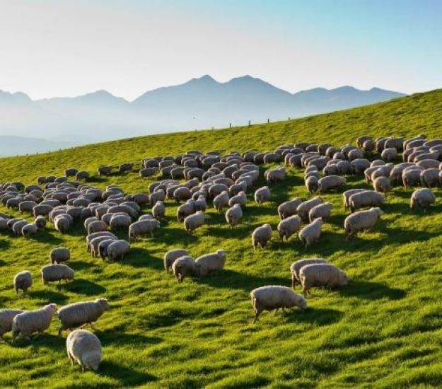 Cabot Lodge Grounds | Exclusive Use | Cabot Lodge | Luxury Hotel Fiordland | Luxury Hotel Te Anau