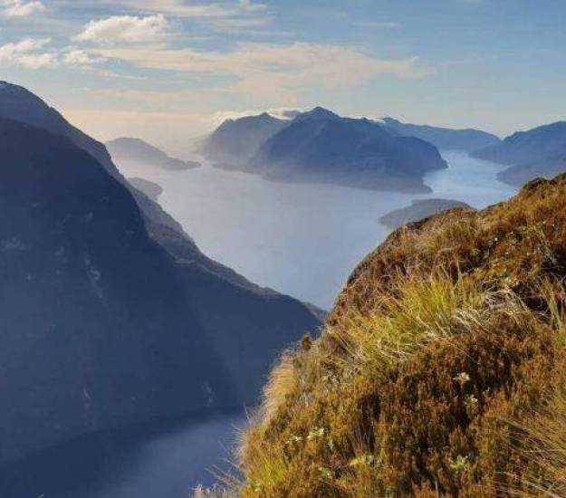 Doubtful vs Milford | The better fiord | Must do in NZ | Best activities in South Island | Best places to visit in South Island