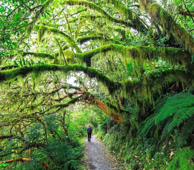 Best Walks in Fiordland | Hiking | Cabot Lodge