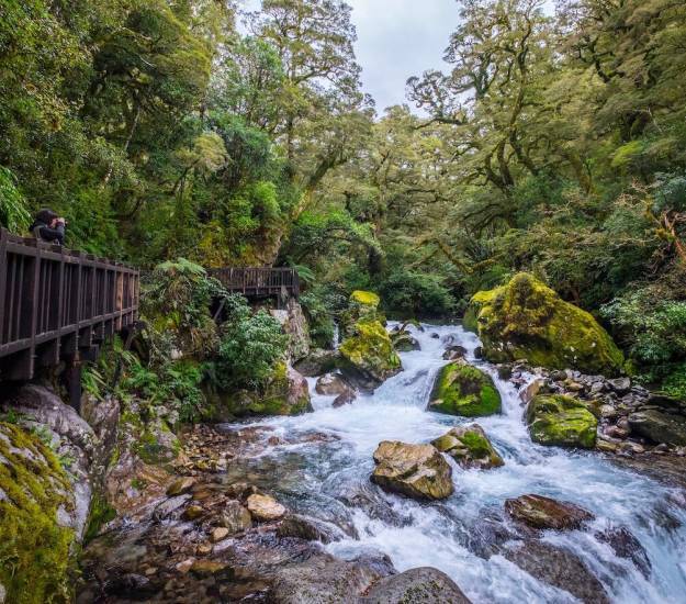 Views from the Milford Road | Fiordland | Cabot Lodge