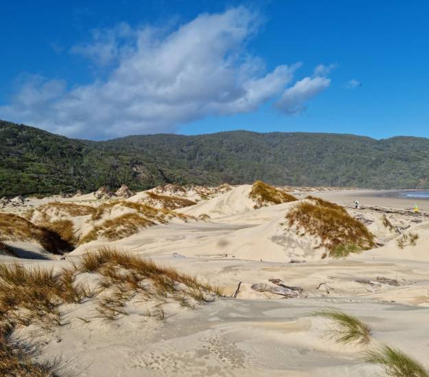 Beaches of Stewart Island | Sand Dune Beaches | Stewart Island Package | Southland New Zealand