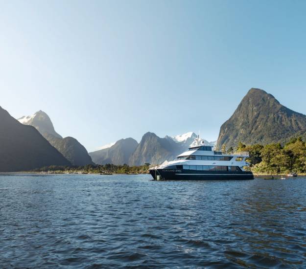 Stewart Island Cruise | Hotels near Stewart Island | Luxury Accommodation | All-Inclusive Package | Boat Package