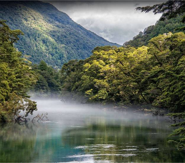 Luxury Milford Sound cruise | Private Milford Sound cruise | Highlights of the Milford Road | Best way to see Milford Sound