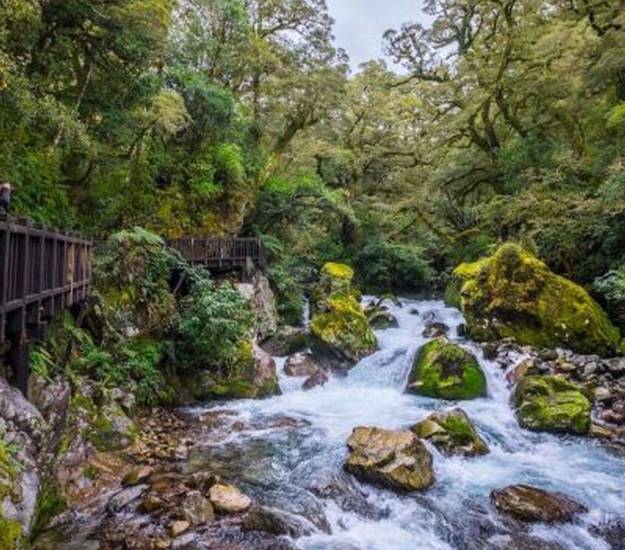 Cabot Lodge | All-inclusive package | Best family friendly location Te Anau | Private lodge | Exclusive lodge | Milford Sound