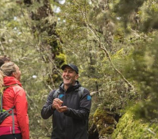 Guided Milford Track Hike | Hiking | Cabot Lodge