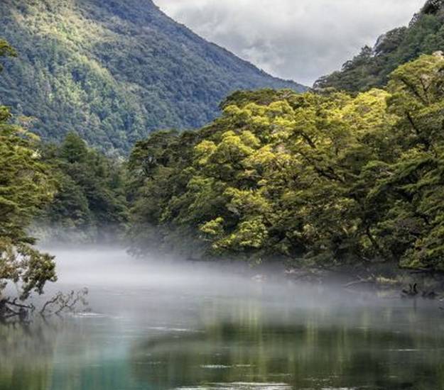 Views on the Milford Track | Hiking | Cabot Lodge
