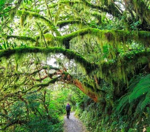 Great Walks in Fiordland | Hiking | Cabot Lodge