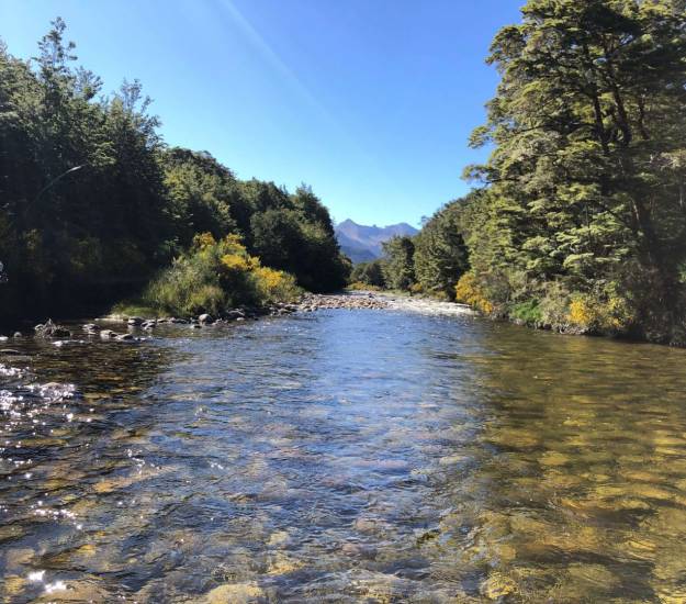 Pristine Trout Fishing Waterways in Fiordland | Fishing | Cabot Lodge
