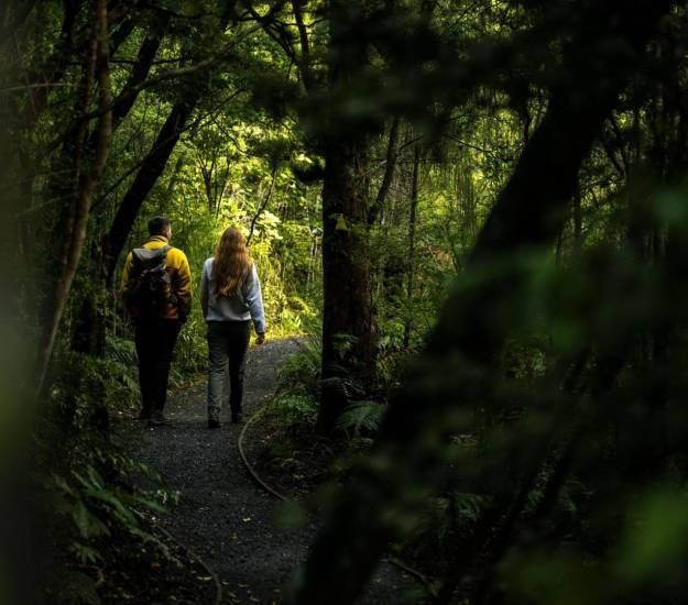 Accessible Hiking Trails | Great Walks New Zealand Hotel Package | All-Inclusive Stay | Day-Trip | Rainforest Walks