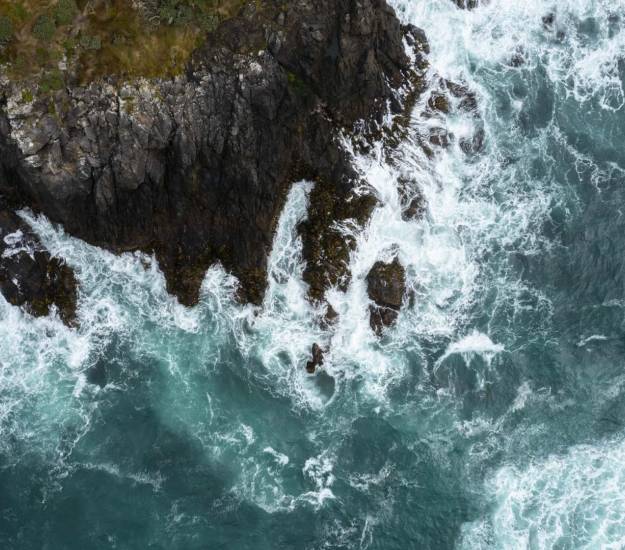 Nature in New Zealand | Hotel Packages | Cabot Lodge | Luxury Stays in New Zealand | Southland NZ | Hotels in South Island | Luxury Accommodation