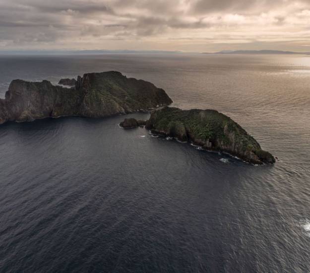 Stewart Island Package | Luxury Accommodation near Stewart Island | Stewart Island Ferry