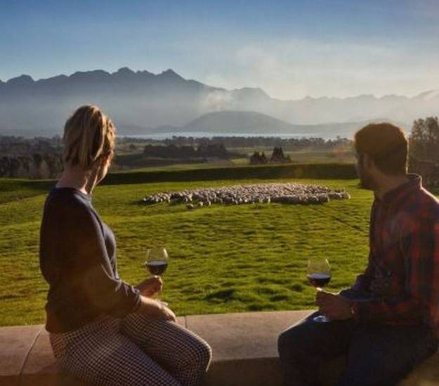 Watching the sheep graze | The Farm | Cabot Lodge